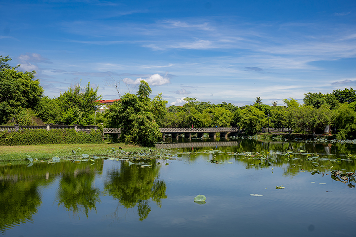 Hồ Tịnh Tâm